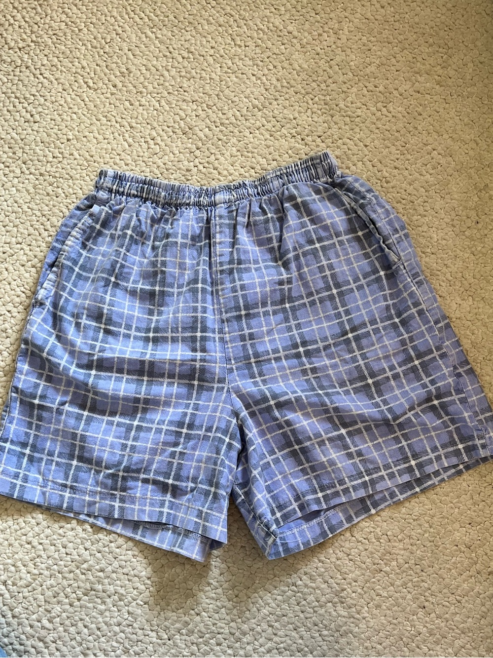 Fresh produce Blue Plaid Shorts